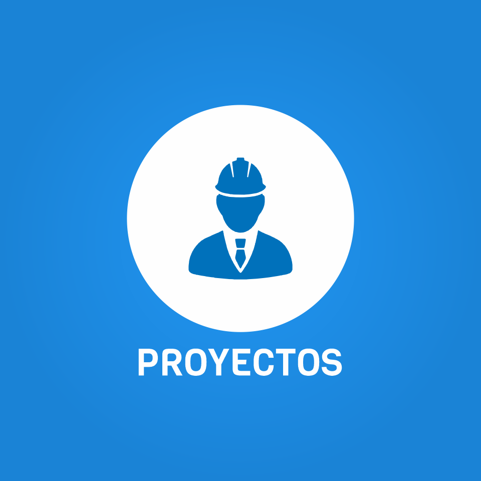 Proyectos